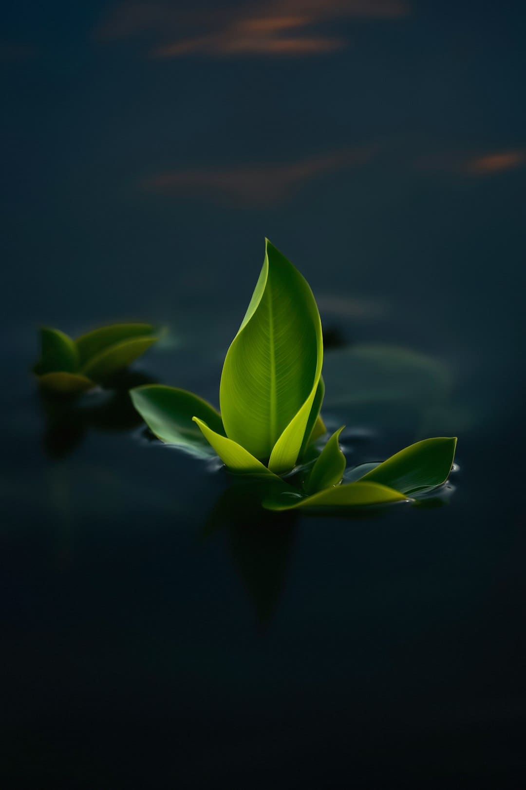 理想汽车唐华寅:高速续航是纯电动汽车最主要的痛点